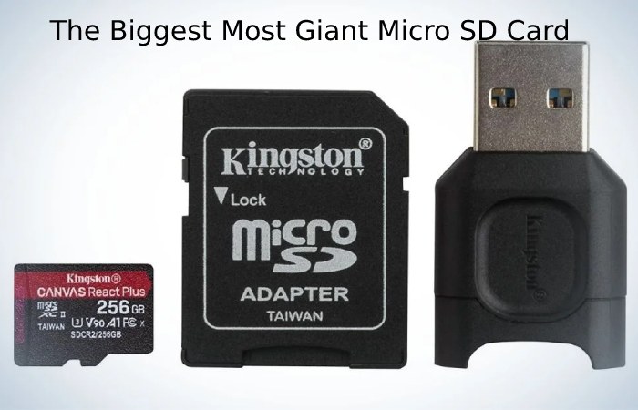 the Biggest Most Giant Micro SD Card