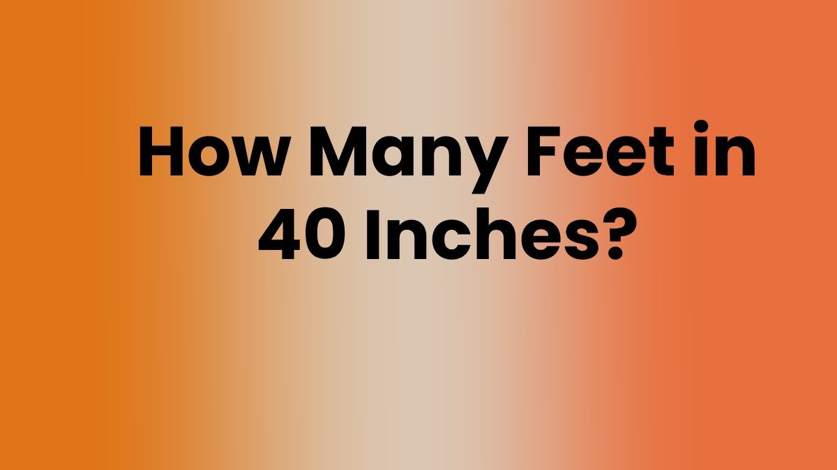 How Many Feet in 40 Inches?