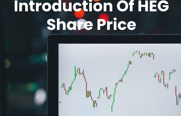 Introduction Of HEG Share Price