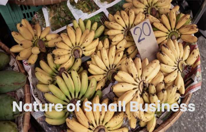 Nature of Small Business