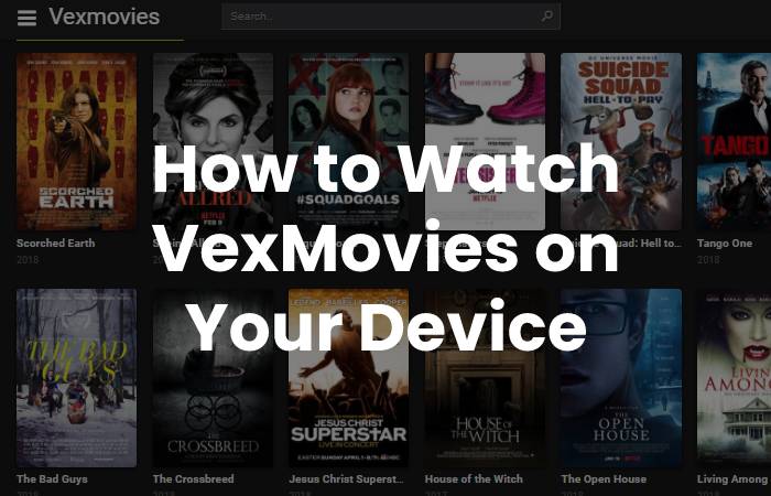 How to Watch VexMovies on Your Device