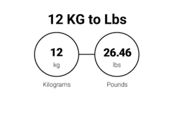 12 Kg To Lbs