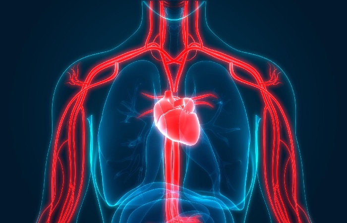 Alternative methods for keeping your heart healthy