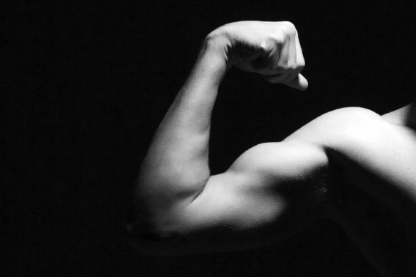 Wellhealthorganic.Com: How-To-Build-Muscle-Know-Tips-To-Increase-Muscles