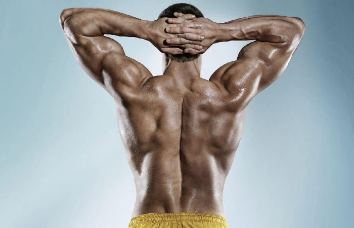The Basic Principles Of Gaining Muscle