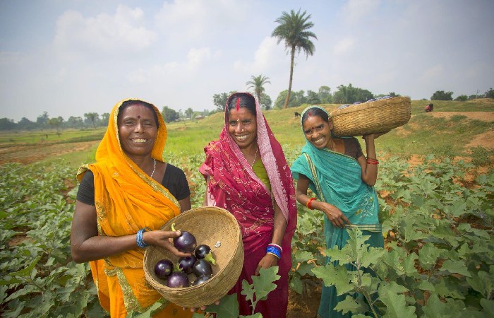 How Can I Sign Up for the PM Kisan Samman Nidhi Yojana?