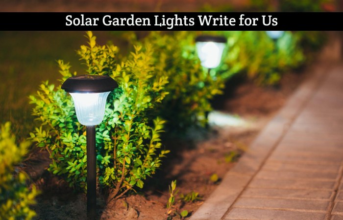 Solar Garden Lights Write for Us, Guest Post, Contribute, and Submit Post